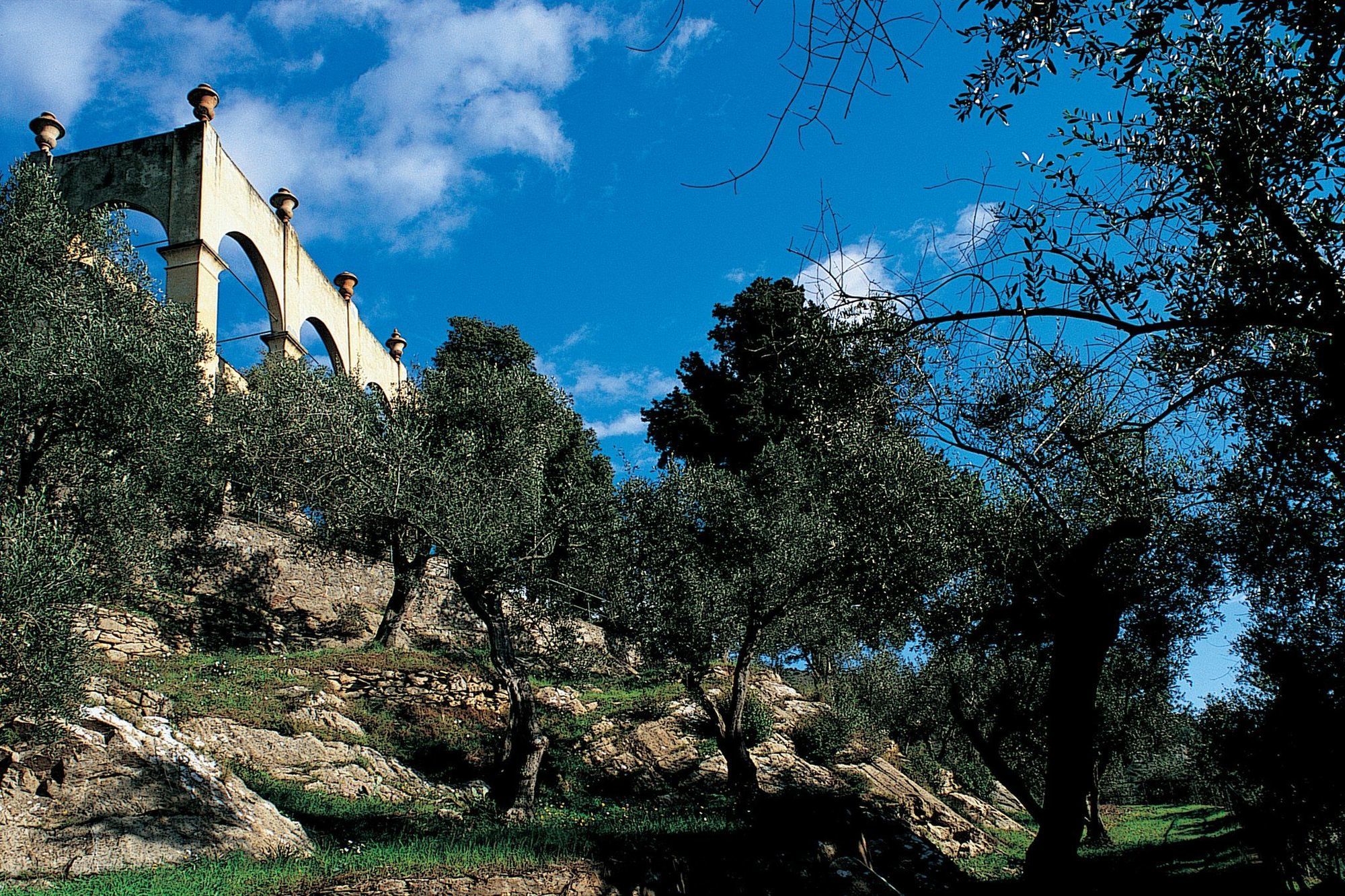Bagni Di Pisa Palace & Thermal Spa - The Leading Hotels Of The World San Giuliano Terme Instalações foto Olive trees in the hills of Andalusia